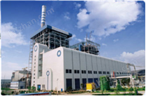 ZDG系列燃?xì)庹羝l(fā)電鍋爐