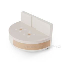 Pro-MAM CESM質控體模