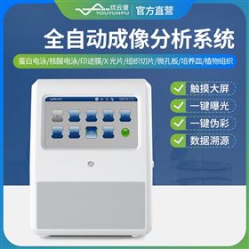 YP-HFG全自動成像分析系統(tǒng)