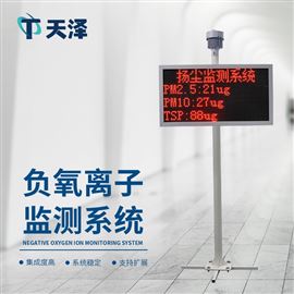TZ-FZ1负氧离子检测仪
