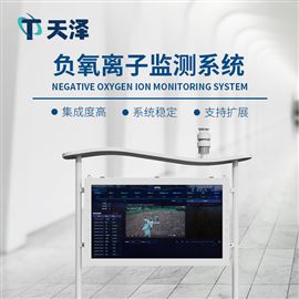 TZ-FZ5大气负氧离子观测系统