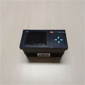 TS133-WT-400P1C1A4數顯表 庫號:M130675