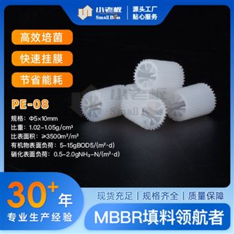 孔悬浮过滤处理生化池培菌挂膜MBBR流化床填料PE08