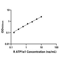 TW-E3032大鼠鈉/鉀離子轉運ATP酶α1肽ELISA試劑盒
