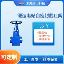 鍛造電站自密封截止閥