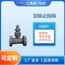 空排止回閥 專用回流閥電站閥