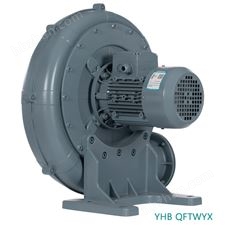 2.2KW中国台湾CX透浦式鼓风机