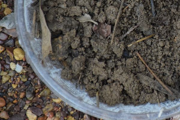 三川智慧深耕稀土回收利用，踐行綠色發(fā)展之路