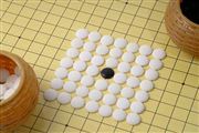 開啟中國應對氣候變化新征程 引領全球低碳韌性轉型