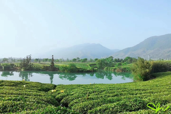 柳州市融安縣大良鎮(zhèn)里居屯農(nóng)村生活污水處理設(shè)施整改典型案例