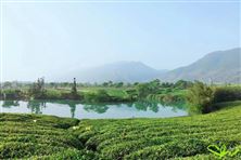 柳州市融安縣大良鎮(zhèn)里居屯農(nóng)村生活污水處理設(shè)施整改典型案例