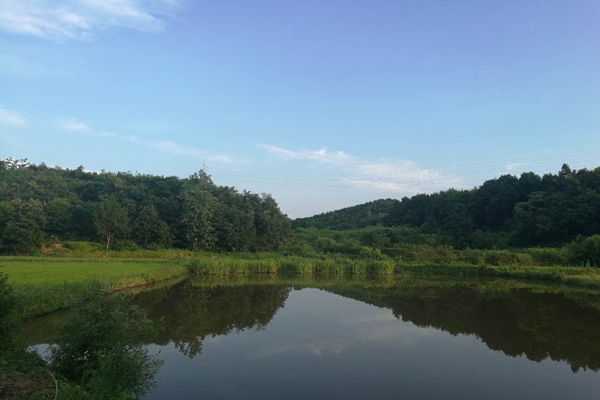 專(zhuān)家解讀：以技術(shù)革新驅(qū)動(dòng)水效提升 系統(tǒng)構(gòu)建節(jié)水裝備體系