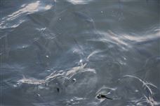 湖北省全省疑似農(nóng)村黑臭水體監(jiān)管清單發(fā)布!