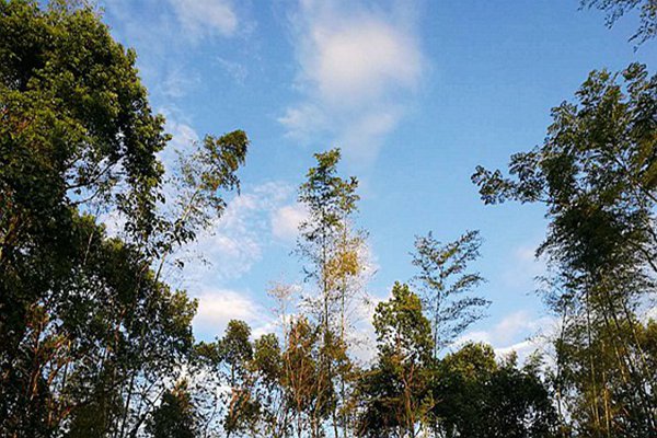 《邯鄲市空氣質量限期達標規(guī)劃(2025-2030)(征求意見稿)》公開征求意見