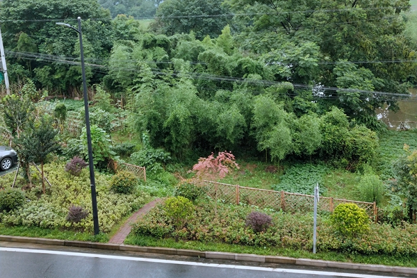 2.61億！北控城市服務(wù)中標(biāo)南京市高淳區(qū)城區(qū)環(huán)衛(wèi)保潔和綠化養(yǎng)護(hù)一體化項(xiàng)目