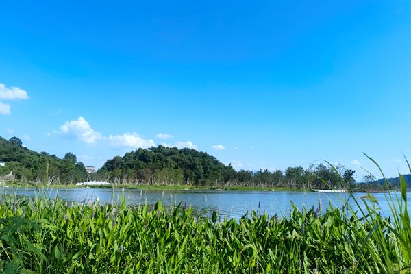 5.3億！湖北麻城污水處理廠及配套管網(wǎng)工程勘察設(shè)計(jì)、采購(gòu)、施工總承包中標(biāo)候選人公示