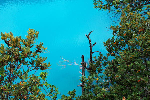 上海市經(jīng)濟信息化委公布2025年度零碳企業(yè)(園區(qū))！