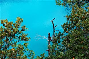 上海市經濟信息化委公布2025年度零碳企業(園區)！