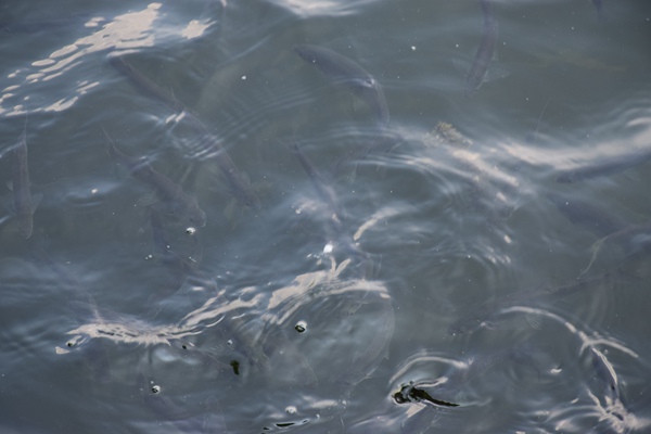 節(jié)水先進(jìn)成熟適用技術(shù)設(shè)備名錄（2025年）公示