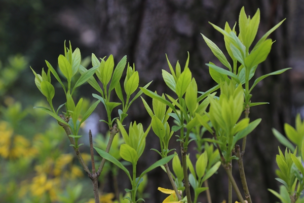 固管中心编制发布《“无废城市”建设进展研究报告（2024年）》