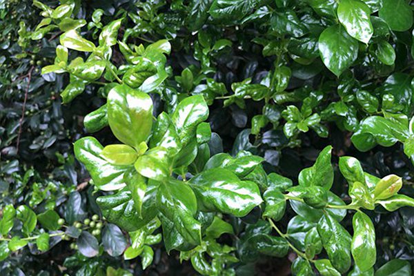 《青海省主要污染物排污權(quán)有償使用和交易管理辦法》政策解讀