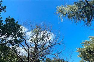 2025年深圳移動(dòng)源污染防治十件大事