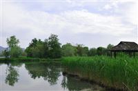 部常务会议、1月例行新闻发布会……生态环境部一周要闻（1.25—1.31）