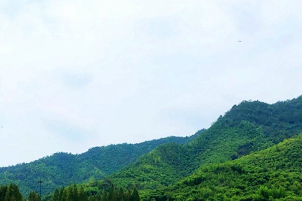 廬江縣積極謀劃“美麗藍(lán)天”項(xiàng)目，全力推進(jìn)產(chǎn)業(yè)綠色低碳轉(zhuǎn)型