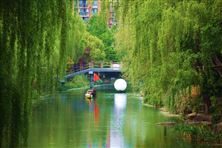 科技成果轉(zhuǎn)化案例 | 產(chǎn)學研深度融合，實現(xiàn)城鎮(zhèn)污水集約低碳高效處理