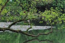 AI賦能污水治理！萬億賽道鴻泰華瑞誠招代理，F(xiàn)yhone和您攜手共贏黃金風(fēng)口