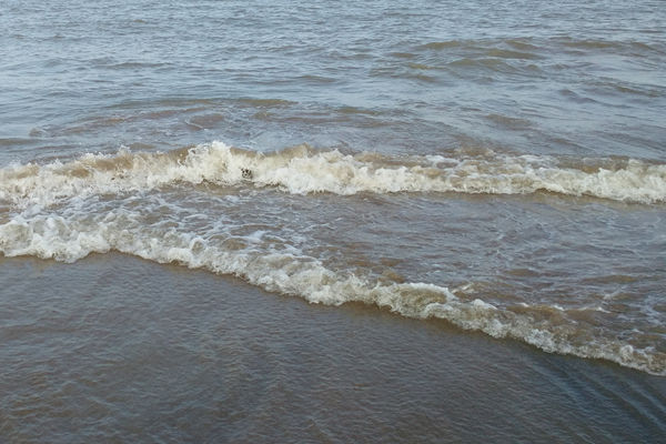 1.6億！陜西蒲城縣城鎮(zhèn)污水處理廠提升改造及配套管網(wǎng)建設(shè)項(xiàng)目EPC招標(biāo)