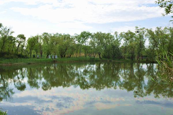 科技成果转化十大案例 | 产业集群孵化赋能，新型农村污水治理装备产业化落地