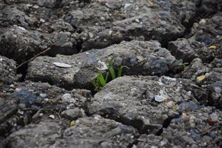 普洱市全面推动生态环境损害赔偿工作提质增效