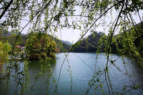 湖州市深化“生态身份证”场景建设 助推城市绿色低碳转型