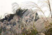 生態(tài)環(huán)境法典全文公布，迎接三大核心變革