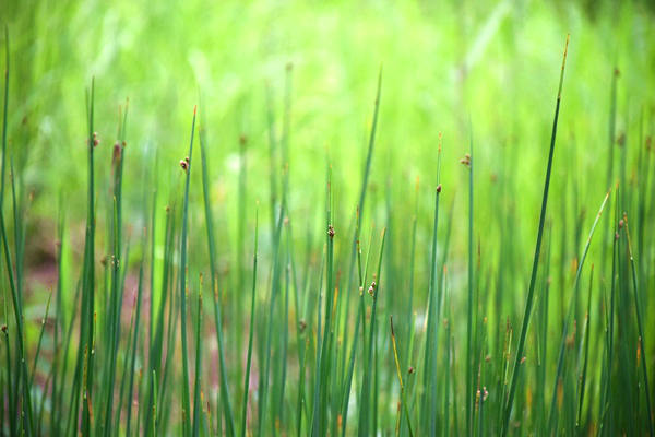 2026年山东省委一号文件发布 加强农村生态环境治理