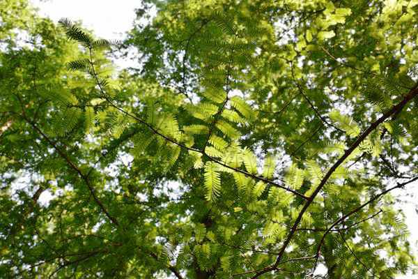 徐威任福建省生態(tài)環(huán)境廳廳長