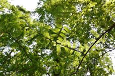 徐威任福建省生態(tài)環(huán)境廳廳長