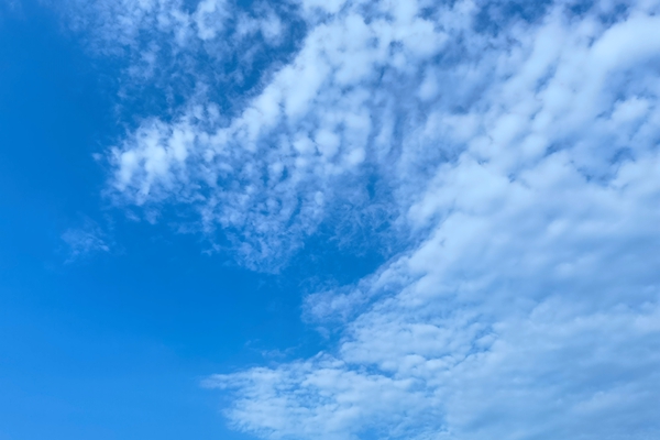 8898万!昆仑工程中标中煤榆林能源水处理系统废气治理项目EPC总承包