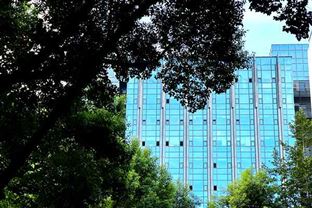 又一企业去“环保” 更名为科技公司