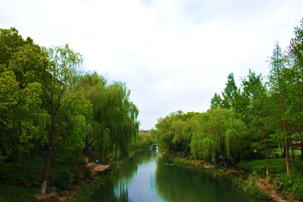 @深圳人，這八項(xiàng)生態(tài)環(huán)境民生實(shí)事項(xiàng)目，與你息息相關(guān)！