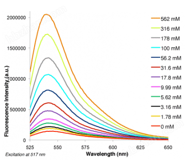 ENG-2 AM 綠色鈉離子探針
