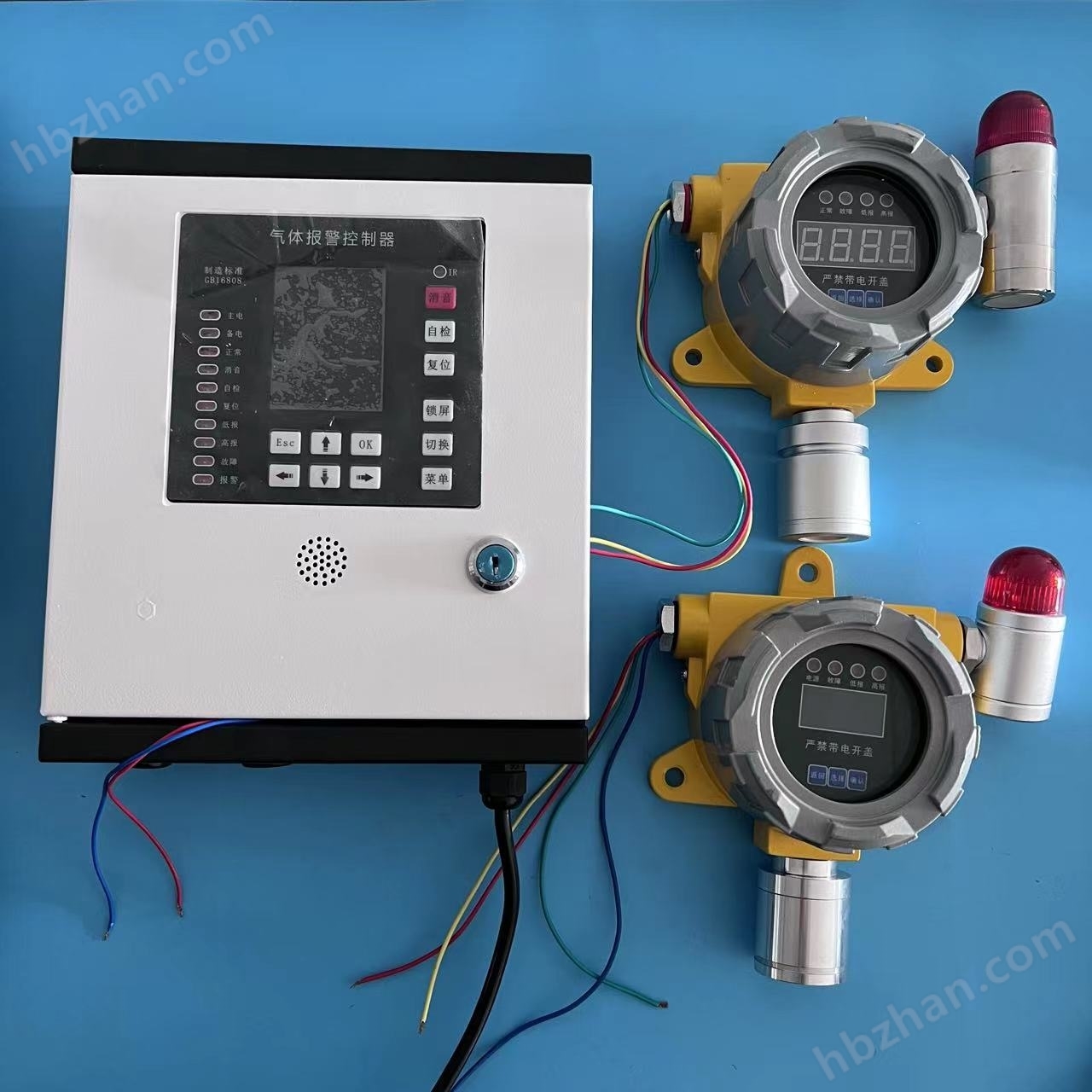 食品廠冷庫液氨泄漏報(bào)警器、氨氣泄漏檢測儀