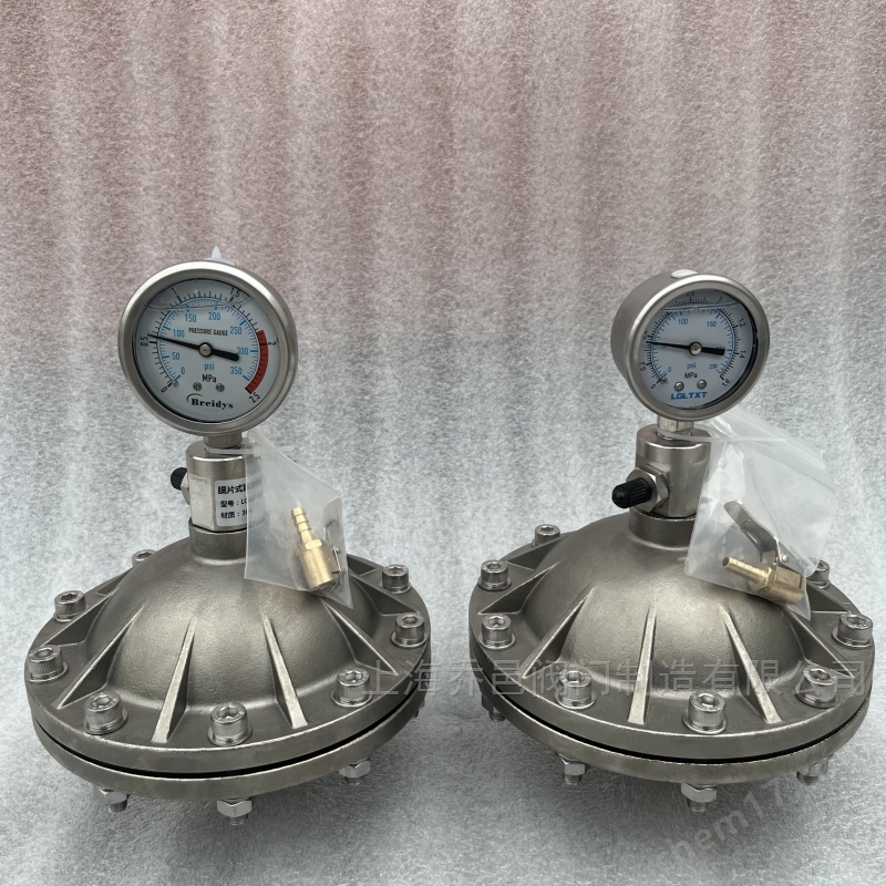 不锈钢膜片式脉冲阻尼器 LGMZ-V0.35L膜片式脉冲阻尼器PVDF