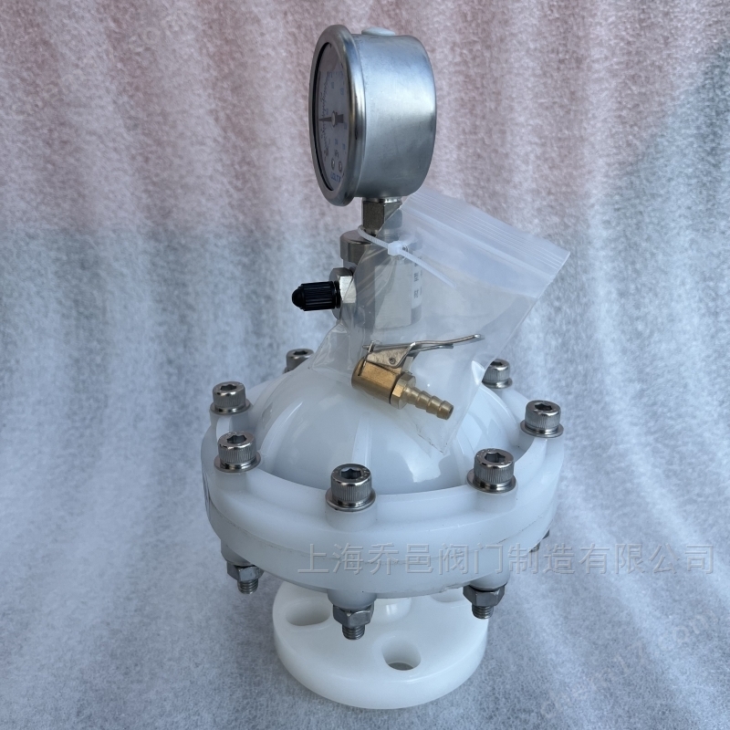 LGMZ-V0.35L膜片式脉冲阻尼器PVDF LGMZ-V0.35L膜片式脉冲阻尼器PVDF