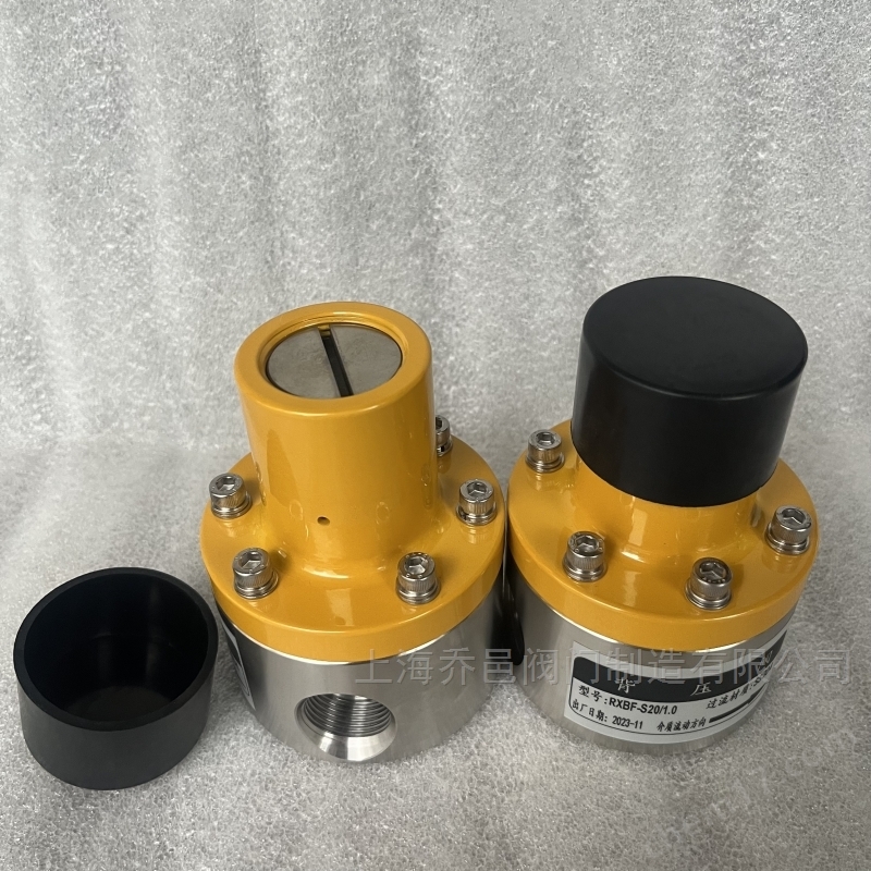 RXBF-S20/1.0背压阀 RXBF-S25/1.0-F背压阀