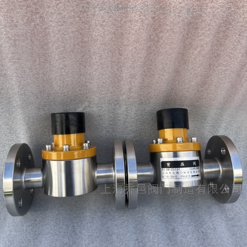 RXBF-S25/1.0-F背压阀.jpg RXBF-S25/1.0-F背压阀