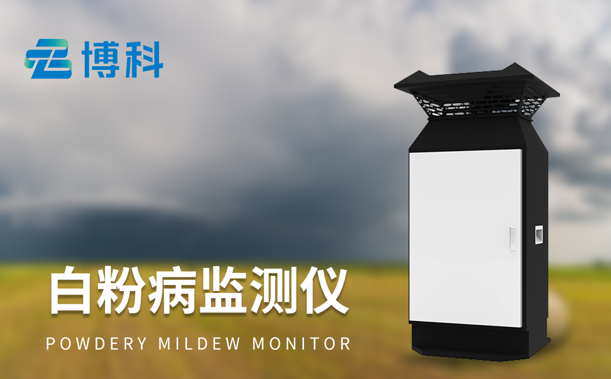 小麦白粉病监测设备