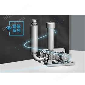 智能羅茨風(fēng)機(jī)