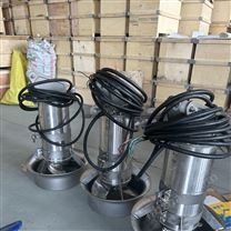 厭氧水解池潛水?dāng)嚢杵?主機316L材質(zhì)